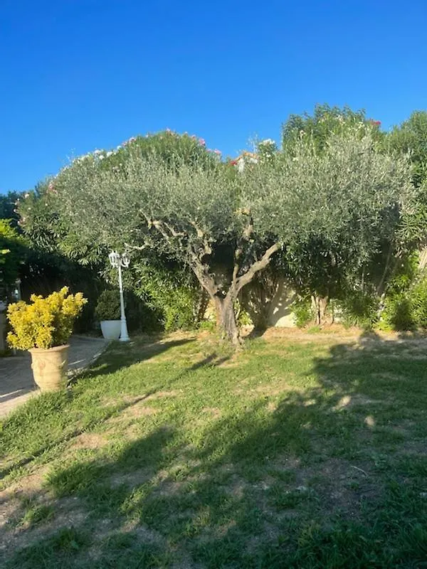 Belle Villa Entre La Montagnette Et Les Alpilles Tarascon France